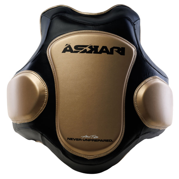 BODY ARMOR SHIELD
