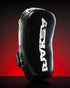 MINI MUAY THAI PADS