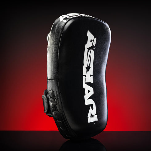 MINI MUAY THAI PADS