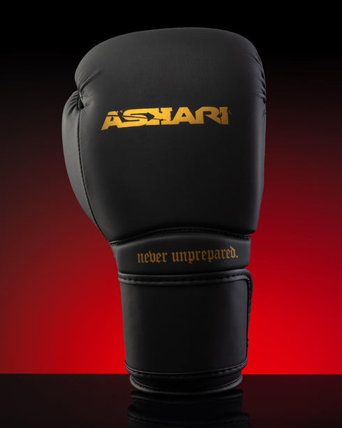 "NOVA" BOXING GLOVES