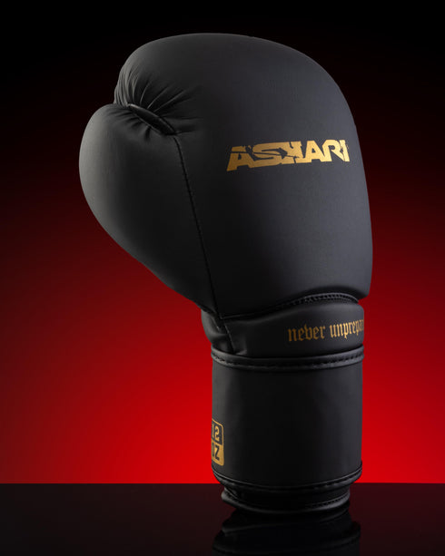 "NOVA" BOXING GLOVES