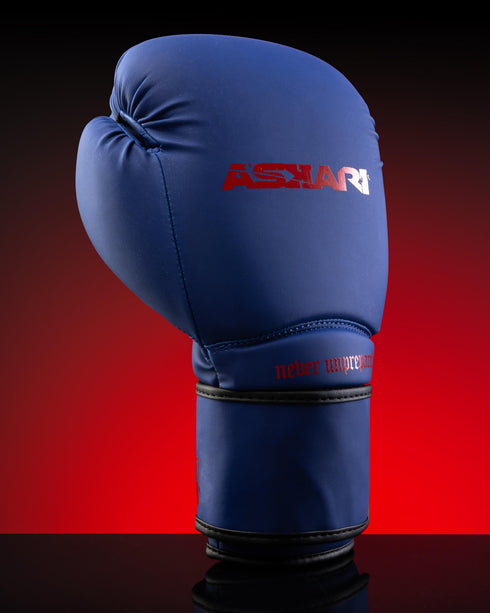 "NOVA" BOXING GLOVES