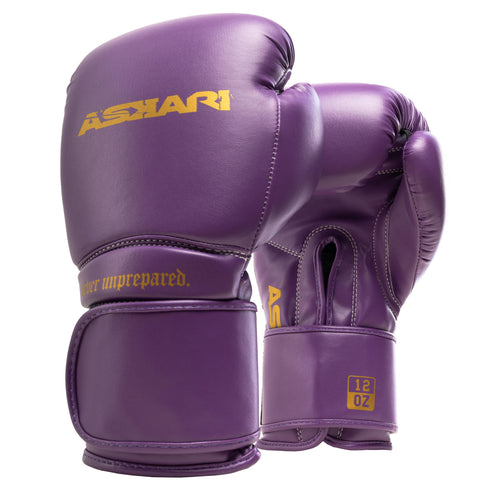 "NOVA" BOXING GLOVES