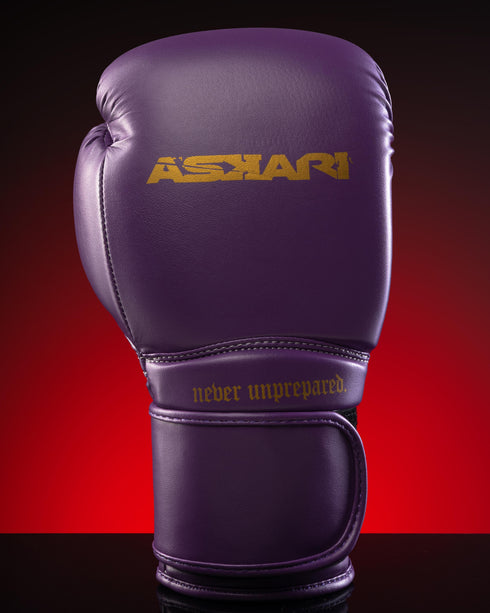 "NOVA" BOXING GLOVES