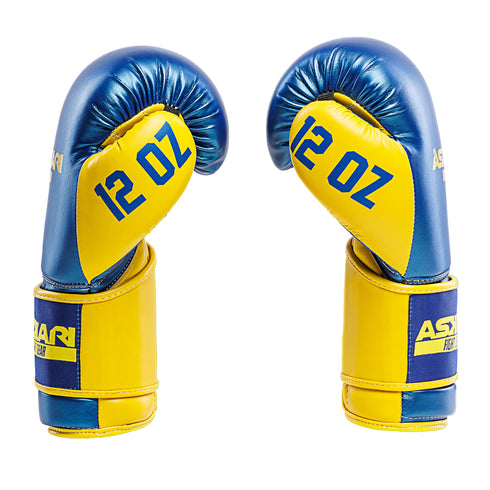 "SUNSTORM" BOXING GLOVES