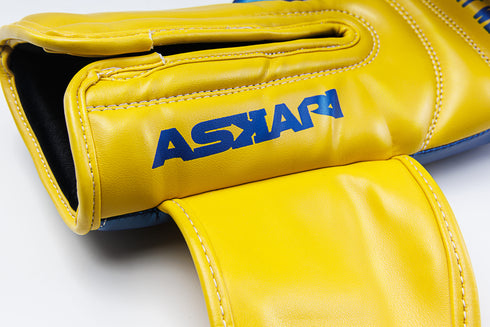"SUNSTORM" BOXING GLOVES