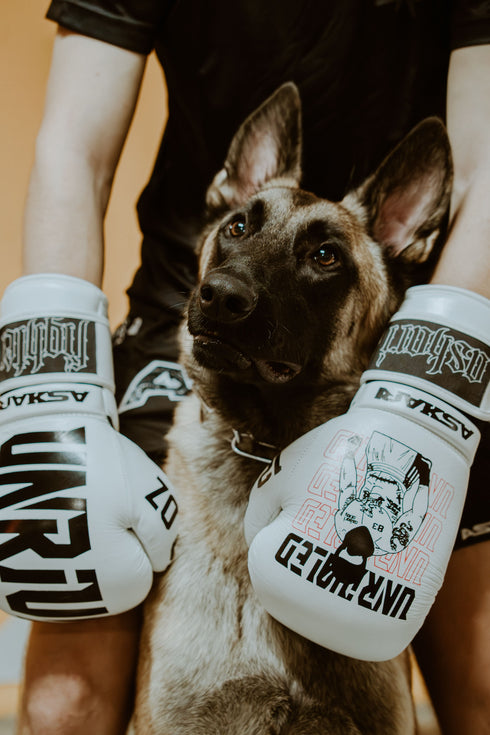 "UNRIVALED" BOXING GLOVES