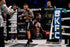 Askari Boxningsshorts Boxing Shorts Askari