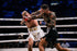 Askari Boxningsshorts Boxing Shorts Askari