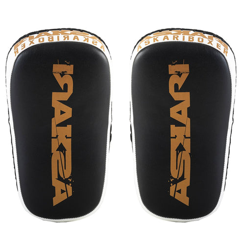 MINI MUAY THAI PADS