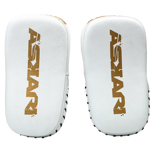 MINI MUAY THAI PADS