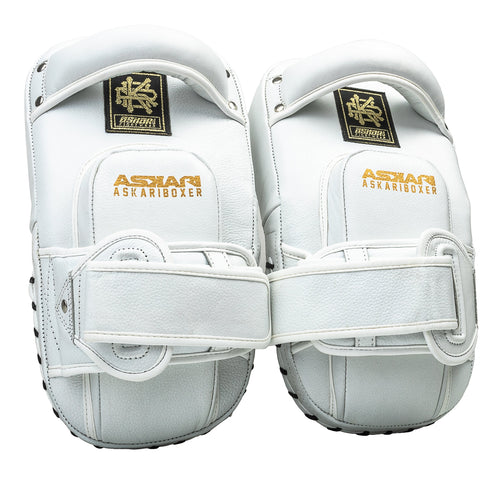 MINI MUAY THAI PADS