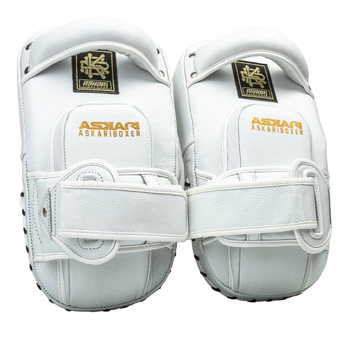 MINI MUAY THAI PADS
