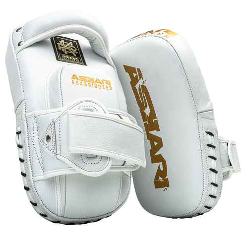 MINI MUAY THAI PADS